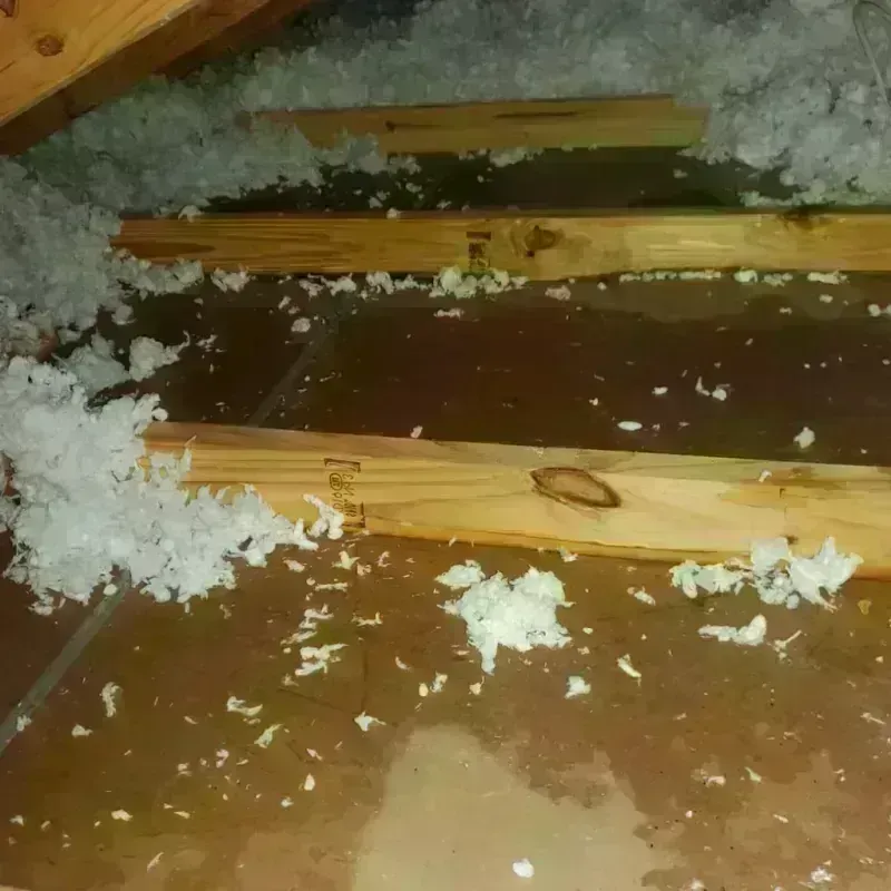 Attic Water Damage in Ohio County, WV