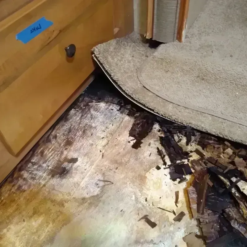 Wood Floor Water Damage in Ohio County, WV